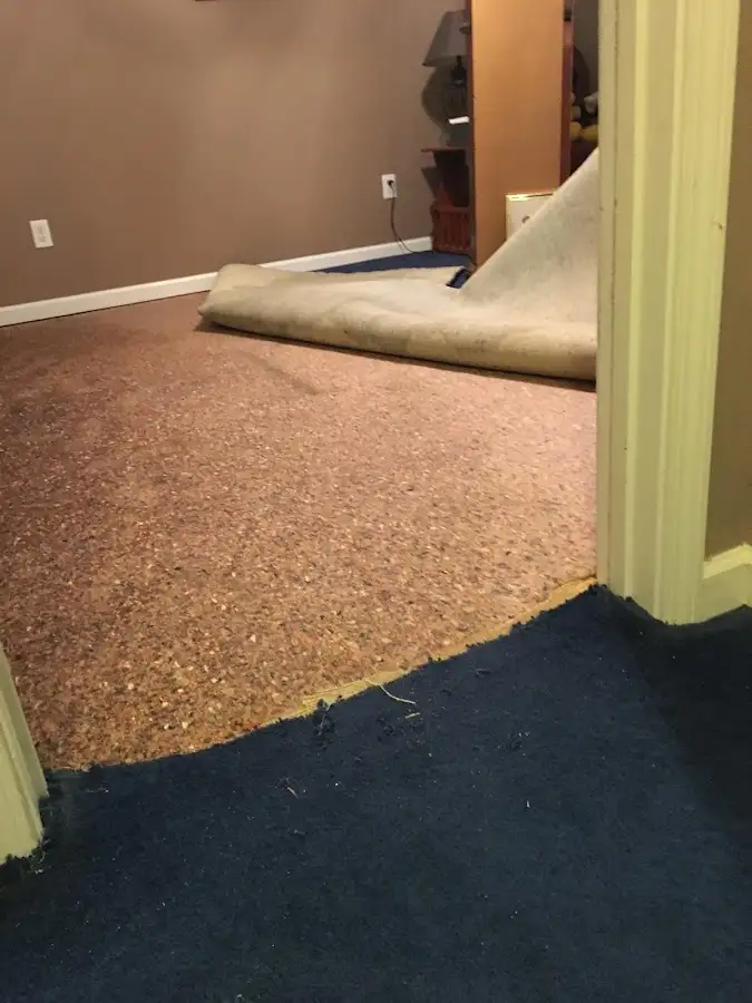 Carpet pad removal revealing water damage during Drying & Dehumidification in Potomac Mills