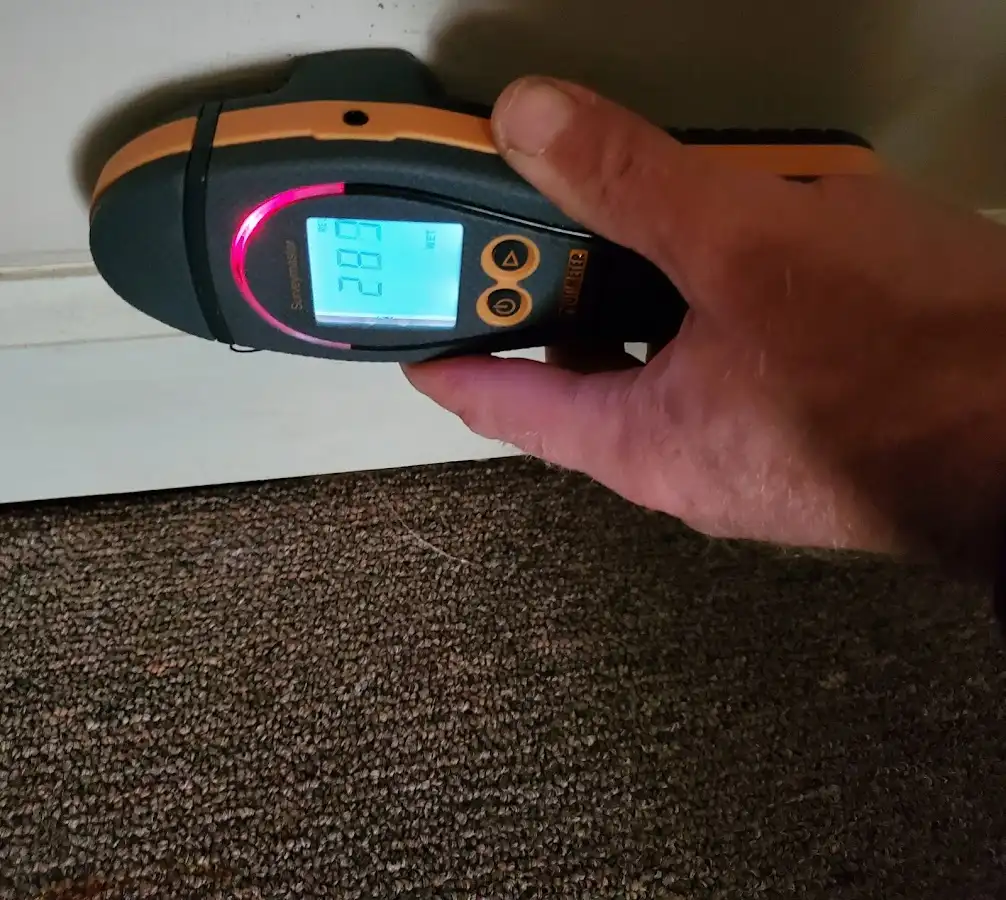 Moisture detection at baseboard during Sewage Cleanup & Sanitation in Potomac Mills